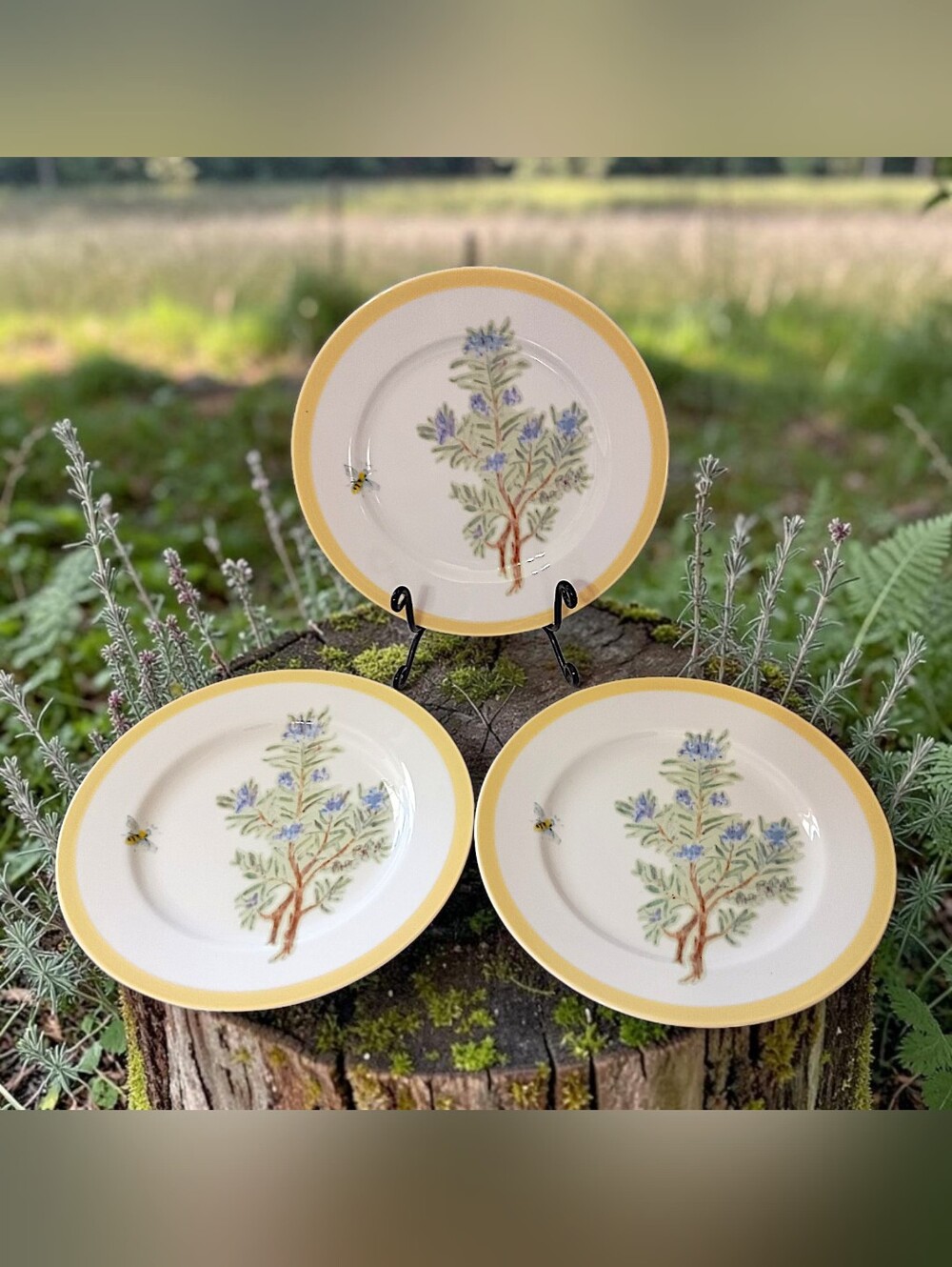 3 Williams Sonoma Flowering Herbs Salad Plates Yellow Band Rosemary Bee Side